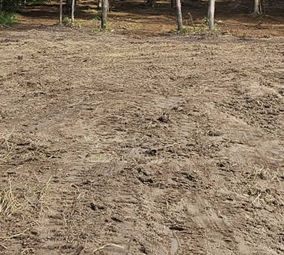 Grading Services near me