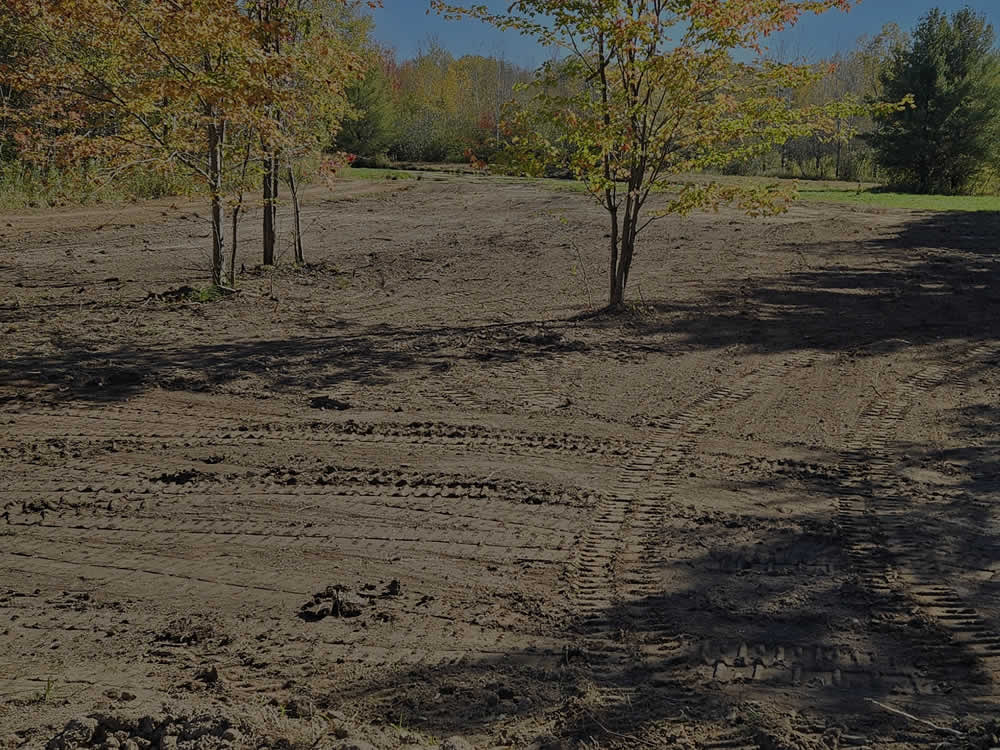 Land Clearing Contractors WI