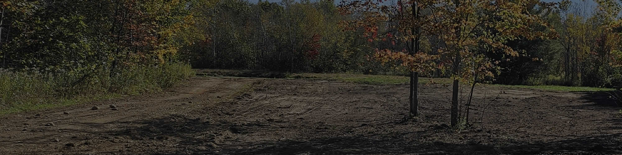 Property Cleanup Contractors